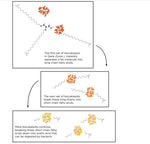 Load image into Gallery viewer, Qwik-Zyme L—Grease Degrader (20L)