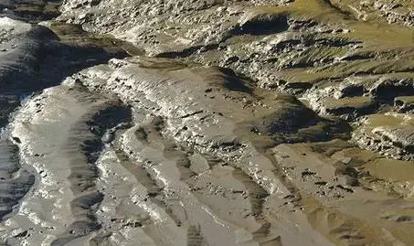 Understanding Sludge: From Formation to Treatment – lovemydam