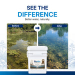 Load image into Gallery viewer, Biostim Tablets (10kg)