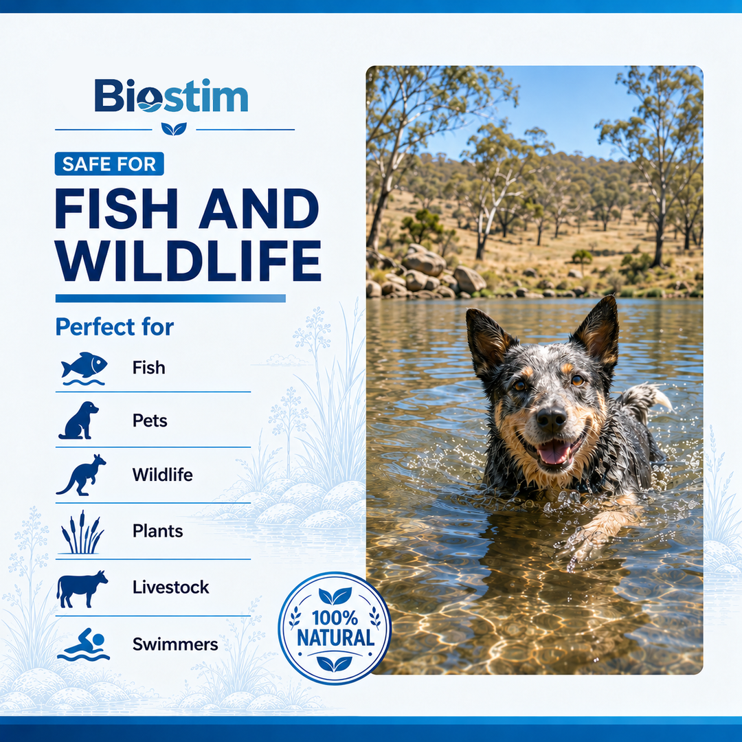 Biostim Tablets (10kg)