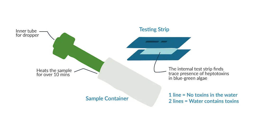 Blue-Green Algae Test Kit