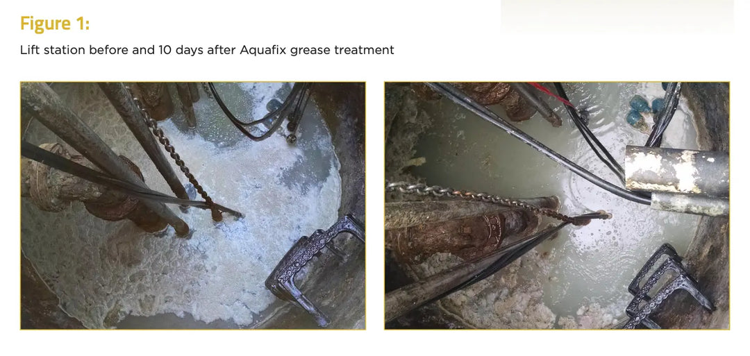 GreaseZilla—Grease Degrader (20L)