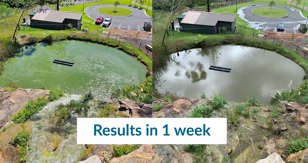 Biostim PhosFix (20L)—Eco-Friendly Phosphorus Remover & Water Clarifier