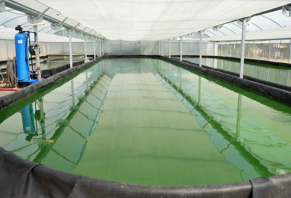 15m Wide (1.14mm Thick) Cut to Length—Rollgum Smooth EPDM Liner ($32.99/m²)