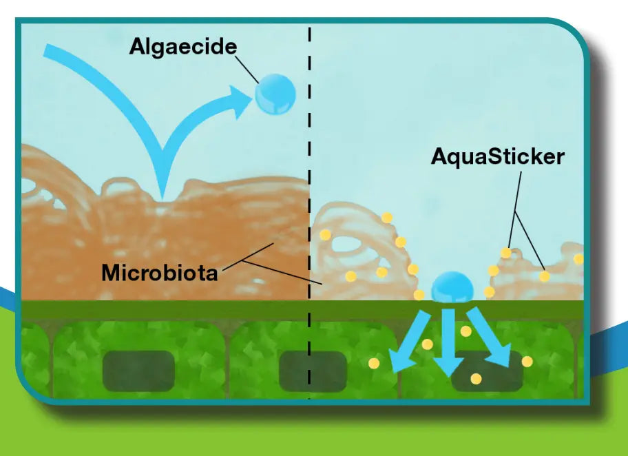 AquaSticker Biological Agent (13.6kg)