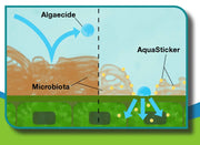 AquaSticker Biological Agent (13.6kg)