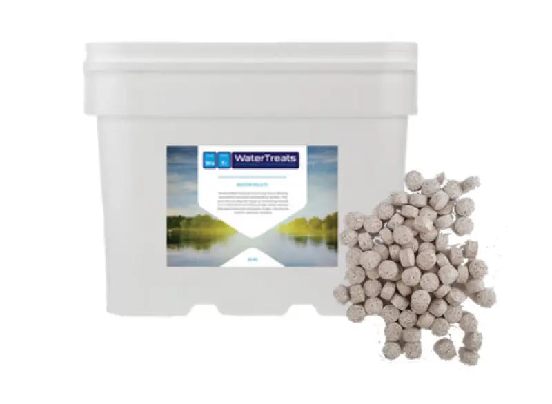 Blue Green Algae Attack Bundle (Small)—3 Pack BGA Test Kit, 5L Cupricide Algaecide, 5L Accelerator