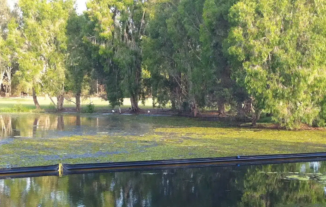 Weed Boom–Trap Unwanted Aquatic Weeds in Waterways