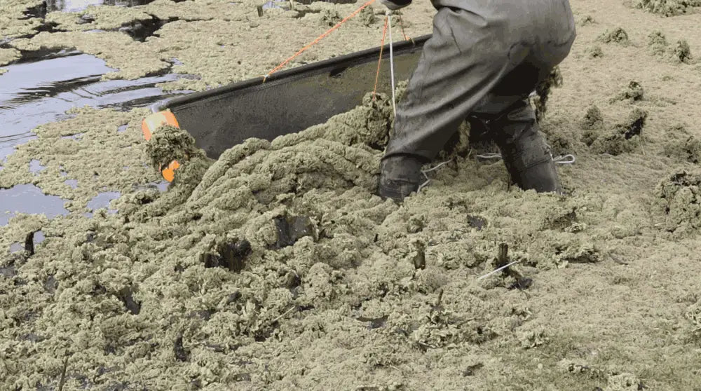 DeSkuzzer 2.0—Remove Aquatic Weeds, Algae and Debris from the Surface of Dams