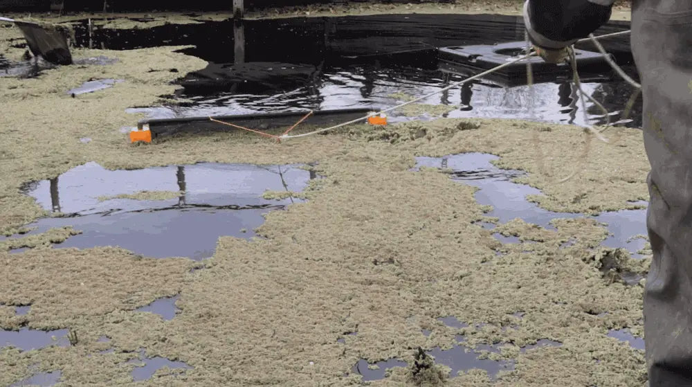 DeSkuzzer 2.0—Remove Aquatic Weeds, Algae and Debris from the Surface of Dams