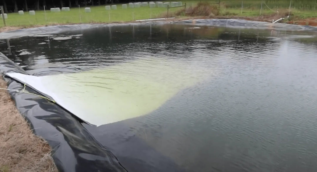 Lake Bottom Blanket (3m x 6m)