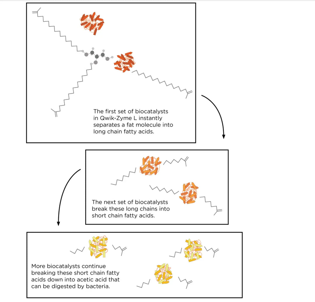 Qwik-Zyme L—Grease Degrader (20L)