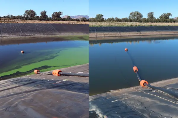 Blue-Green Algae Test Kit - Image 3